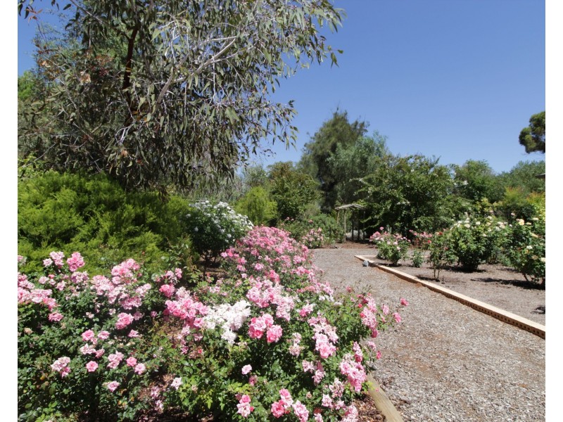 246 Bookmark Avenue, Renmark SA 5341