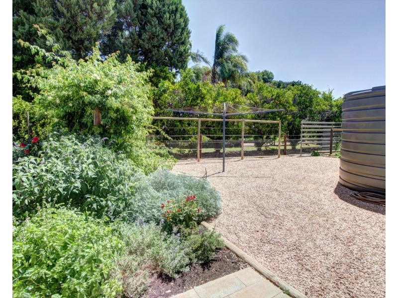 246 Bookmark Avenue, Renmark SA 5341