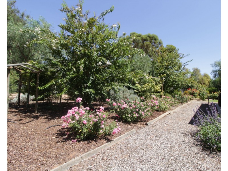 246 Bookmark Avenue, Renmark SA 5341