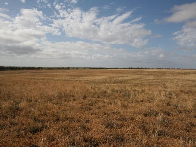 Sec 311 Mindarie, Loxton SA 5333