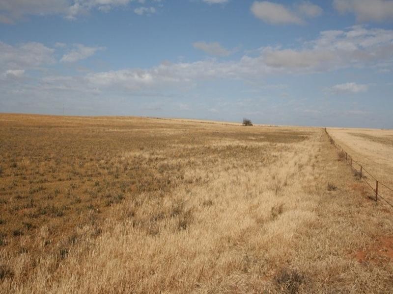 Sec 311 Mindarie, Loxton SA 5333