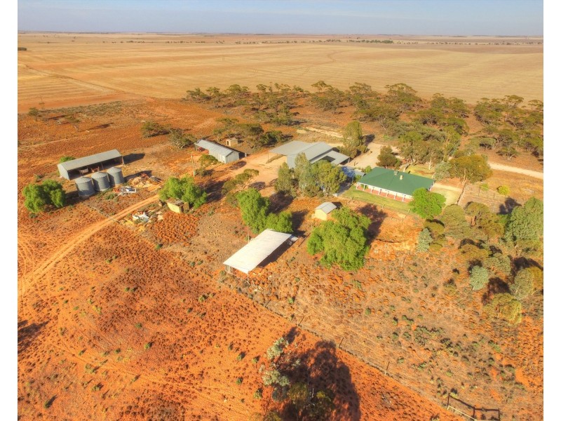 272 Crase Road, Loxton SA 5333