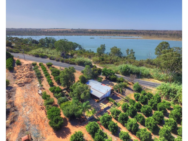 169 Ramco Road, Waikerie SA 5330
