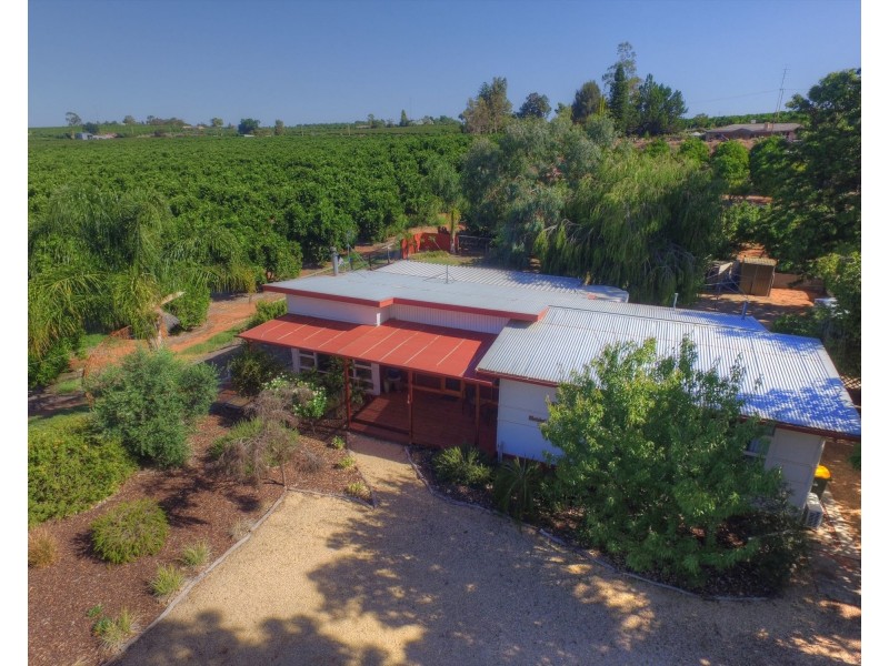 169 Ramco Road, Waikerie SA 5330