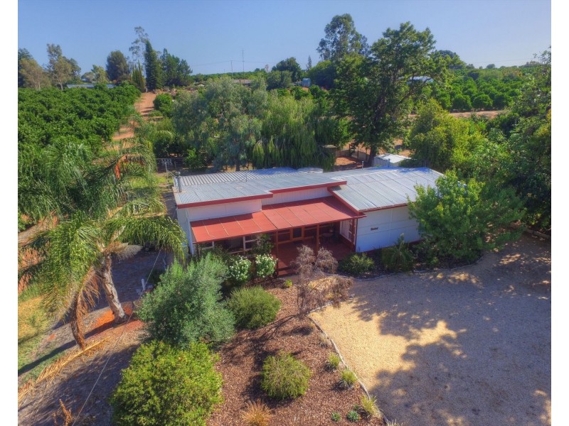 169 Ramco Road, Waikerie SA 5330
