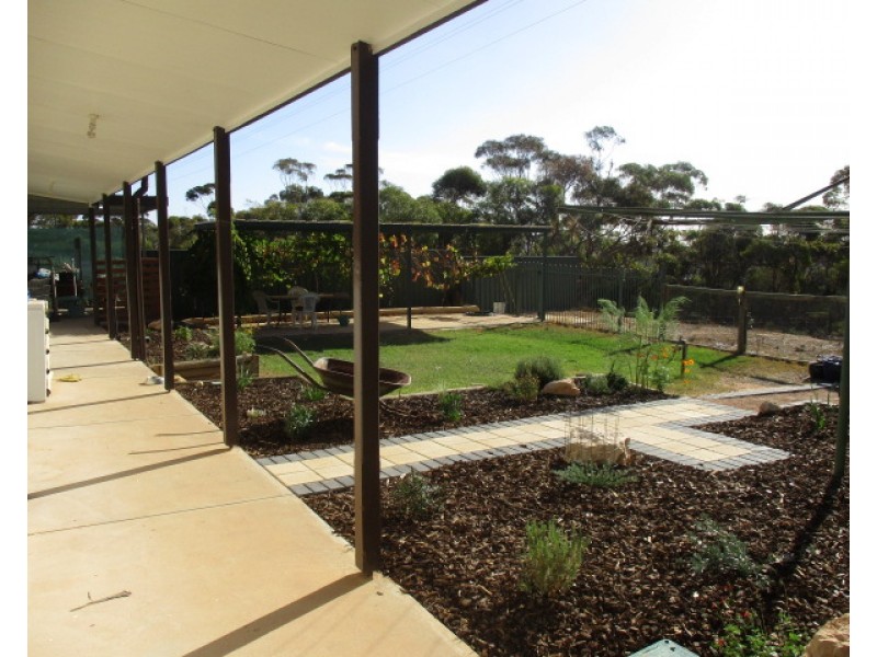 113 Holdertop Road, Waikerie SA 5330