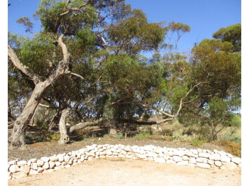 113 Holdertop Road, Waikerie SA 5330