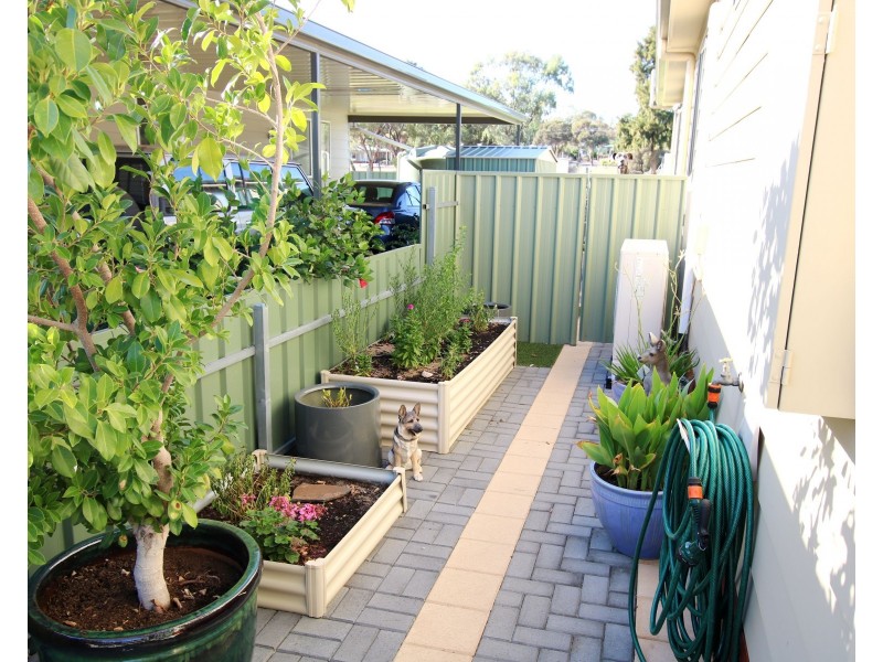 Site 9 Waikerie Lifestyle Village, Waikerie SA 5330