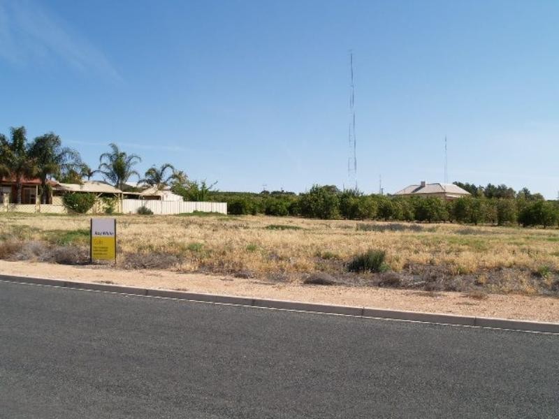 302 Mary Starr Drive, Waikerie SA 5330