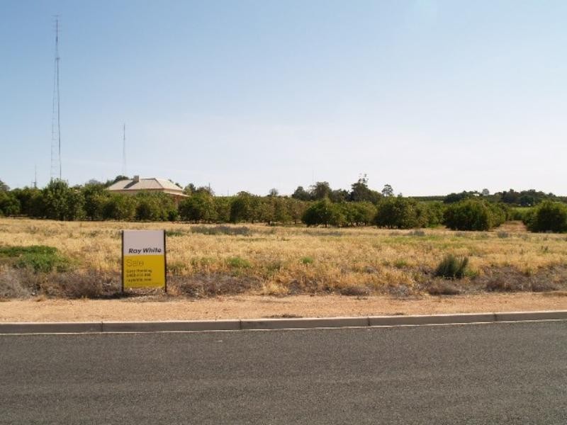 302 Mary Starr Drive, Waikerie SA 5330