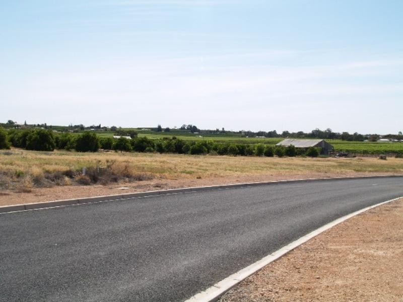 302 Mary Starr Drive, Waikerie SA 5330