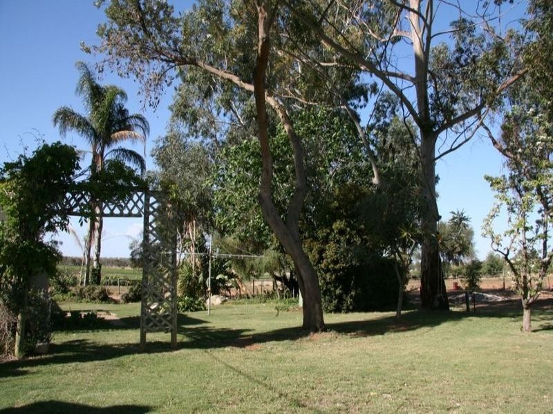 Lot 2 The Avenue, Waikerie SA 5330