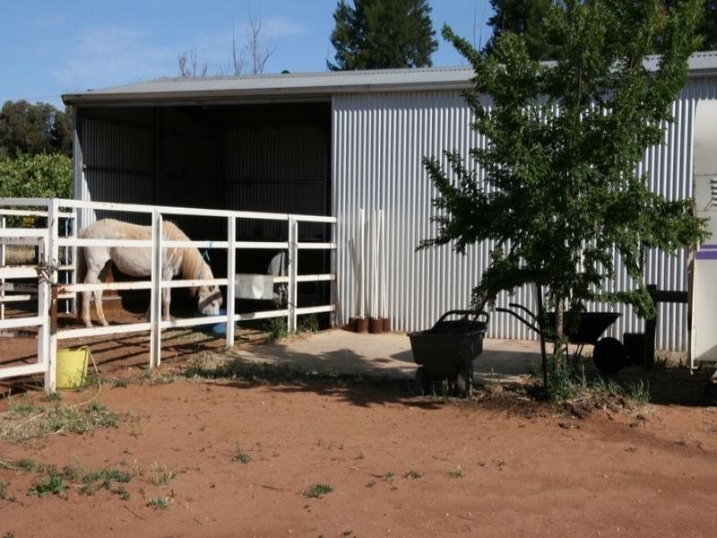 Lot 2 The Avenue, Waikerie SA 5330
