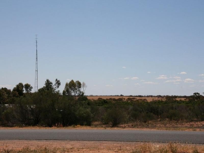 Lot 41 Medley Road, Waikerie SA 5330