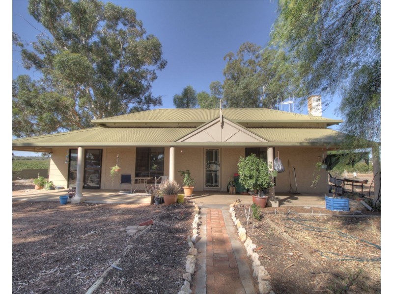 273 Puddletown Road, Winkie SA 5343