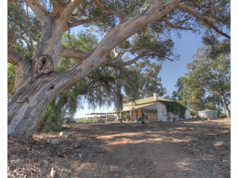 273 Puddletown Road, Winkie SA 5343