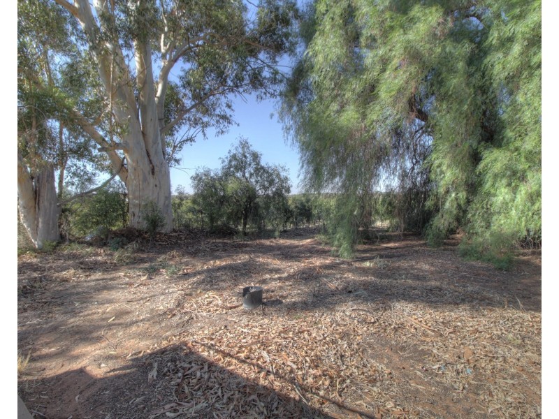 273 Puddletown Road, Winkie SA 5343