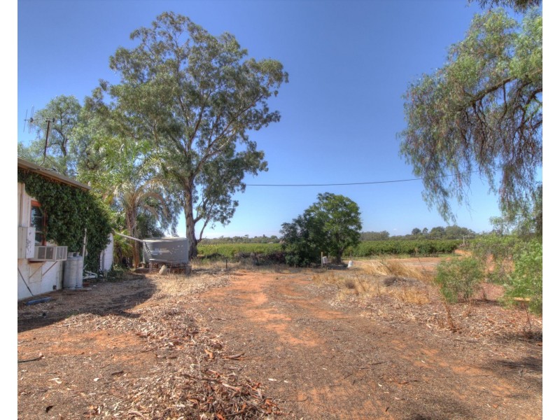 273 Puddletown Road, Winkie SA 5343
