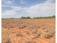 18 and 19 Tunkin Road, Barmera SA 5345