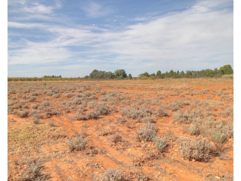 18 and 19 Tunkin Road, Barmera SA 5345