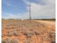 18 and 19 Tunkin Road, Barmera SA 5345
