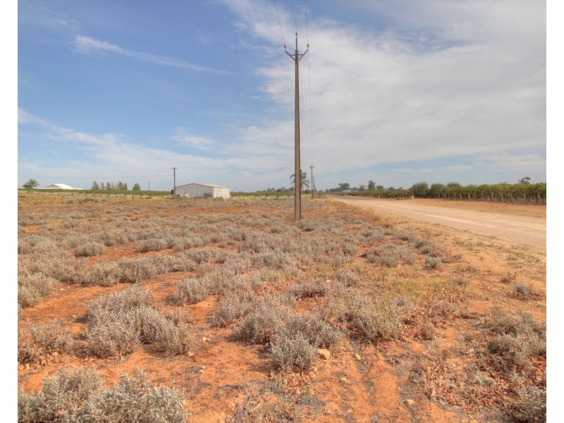 18 and 19 Tunkin Road, Barmera SA 5345