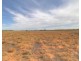 18 and 19 Tunkin Road, Barmera SA 5345