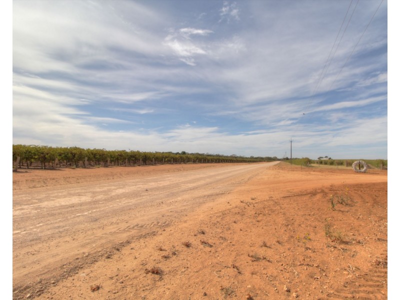 18 and 19 Tunkin Road, Barmera SA 5345