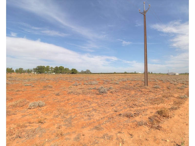 18 and 19 Tunkin Road, Barmera SA 5345