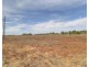 18 and 19 Tunkin Road, Barmera SA 5345