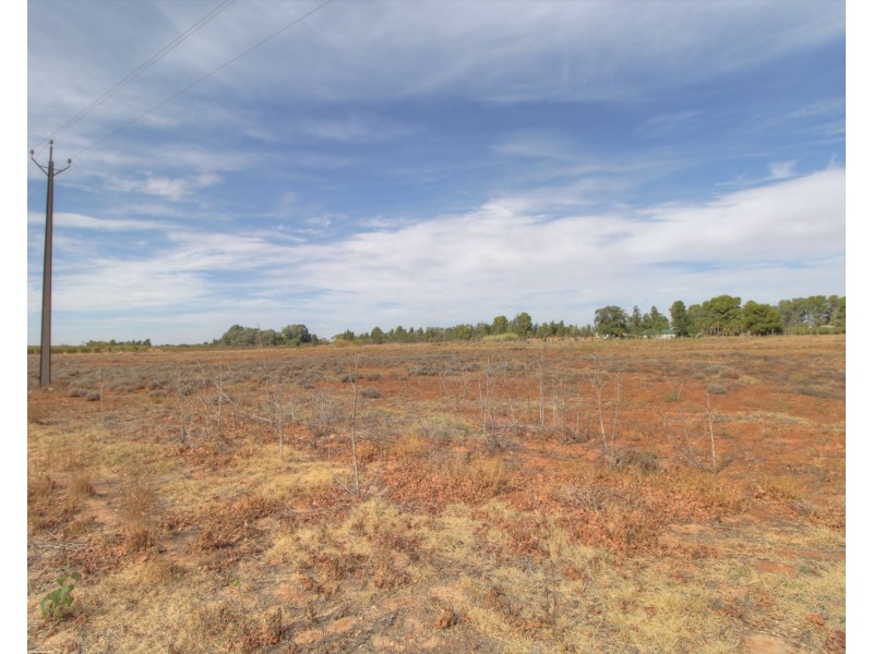 18 and 19 Tunkin Road, Barmera SA 5345