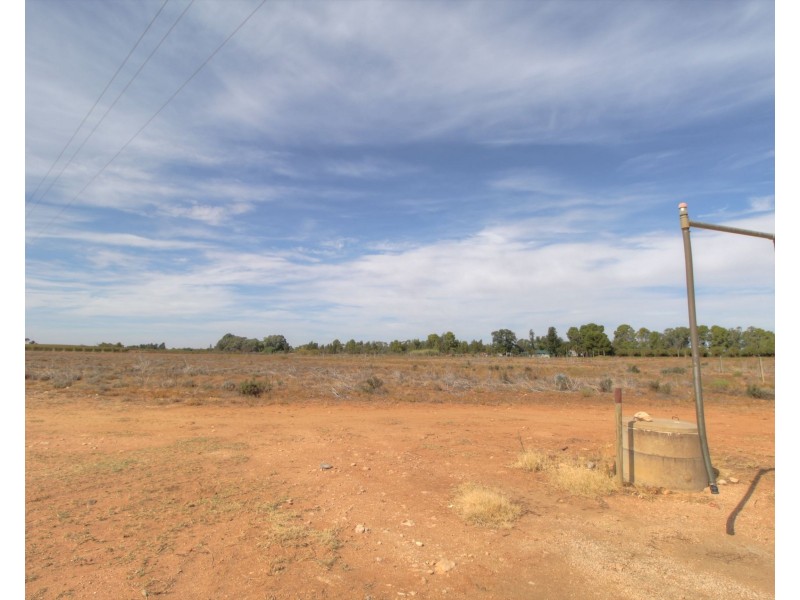18 and 19 Tunkin Road, Barmera SA 5345