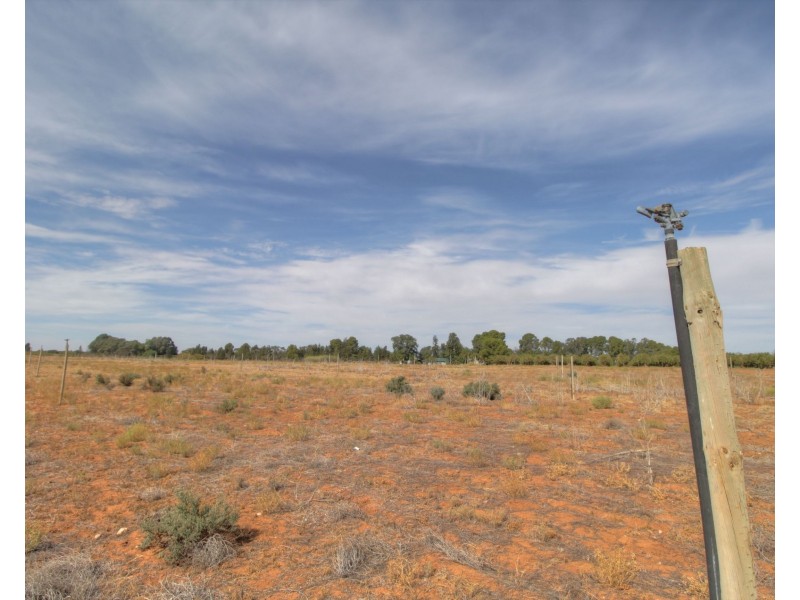 18 and 19 Tunkin Road, Barmera SA 5345