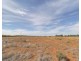 18 and 19 Tunkin Road, Barmera SA 5345