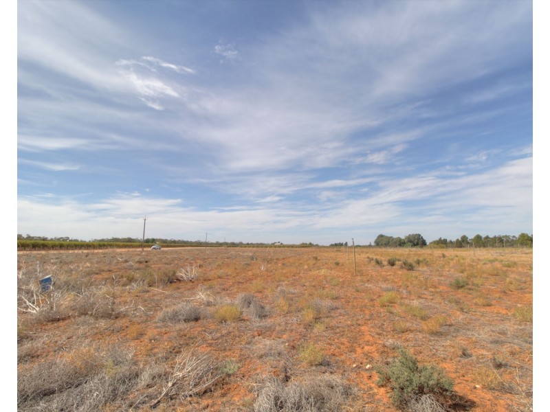 18 and 19 Tunkin Road, Barmera SA 5345