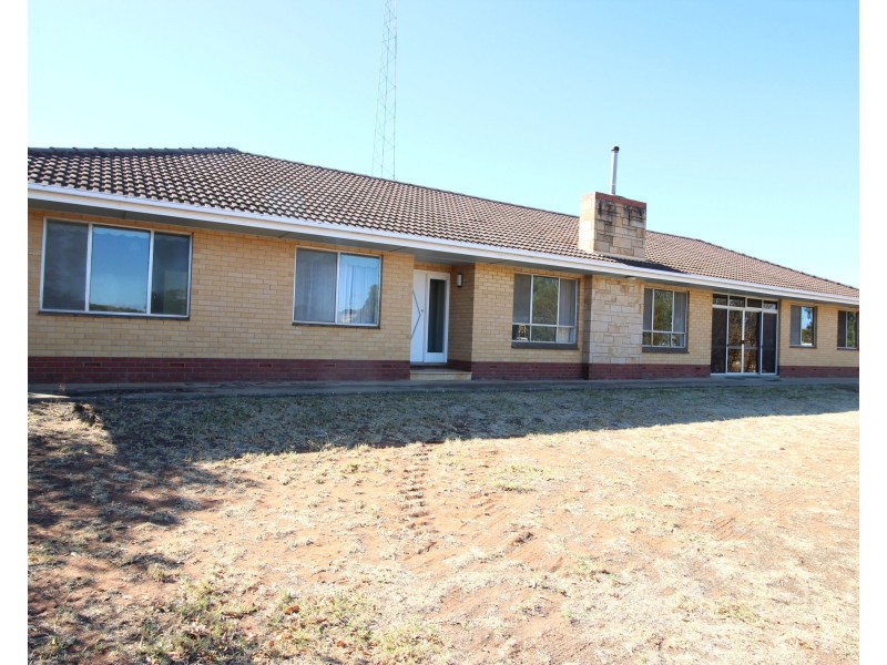 242 Medley Road, Waikerie SA 5330