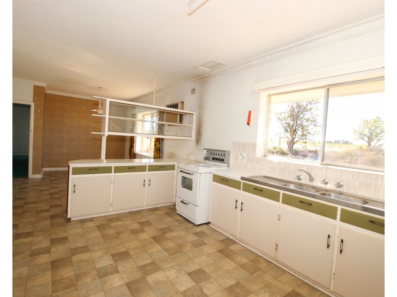 242 Medley Road, Waikerie SA 5330