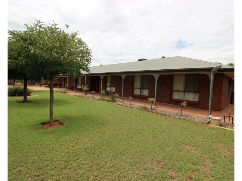 109 Pope Road, Waikerie SA 5330