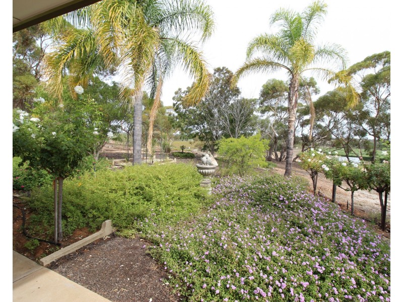 124 Smyth Road, Cadell SA 5321