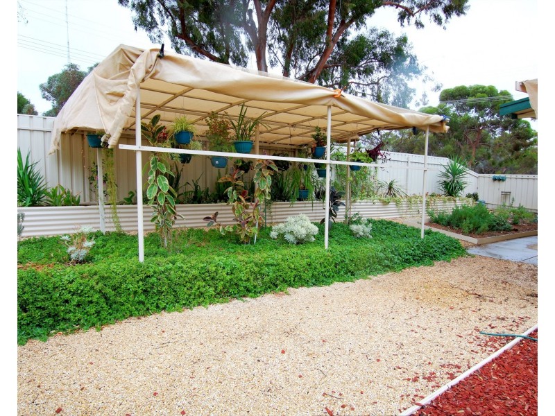 11 Cooper Street, Berri SA 5343