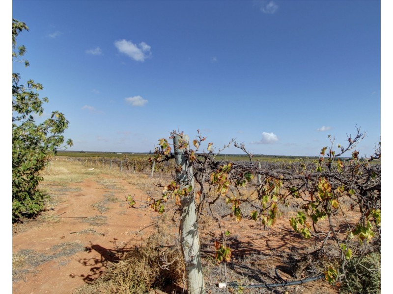 Lot 4 Garwood Lane, Winkie SA 5343