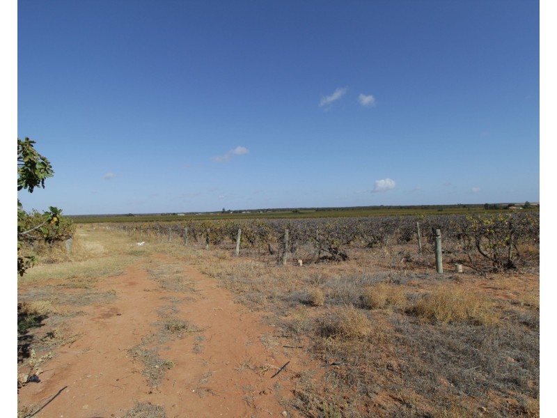 Lot 4 Garwood Lane, Winkie SA 5343