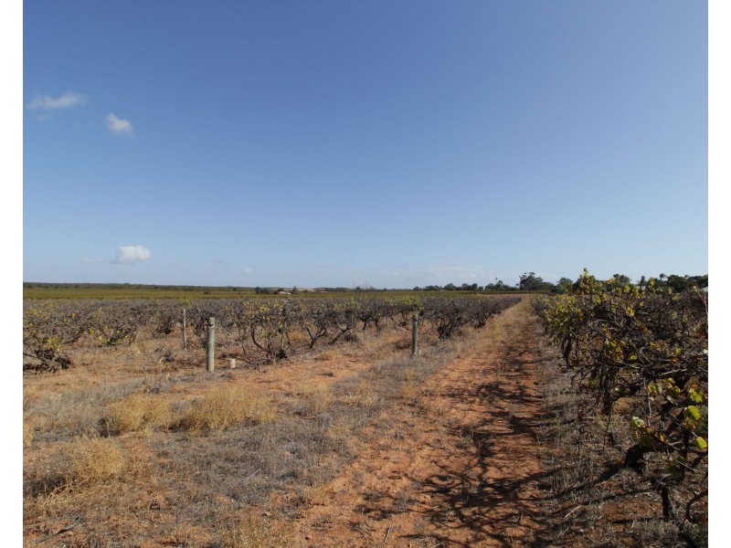 Lot 4 Garwood Lane, Winkie SA 5343