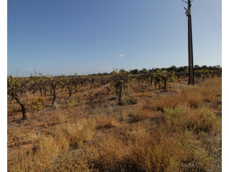 Lot 4 Garwood Lane, Winkie SA 5343