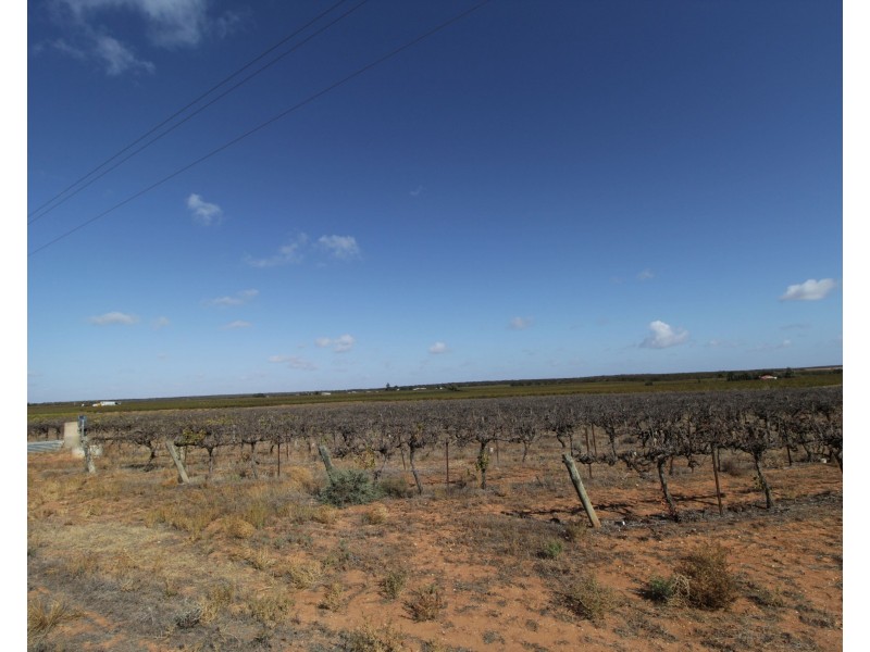 Lot 4 Garwood Lane, Winkie SA 5343