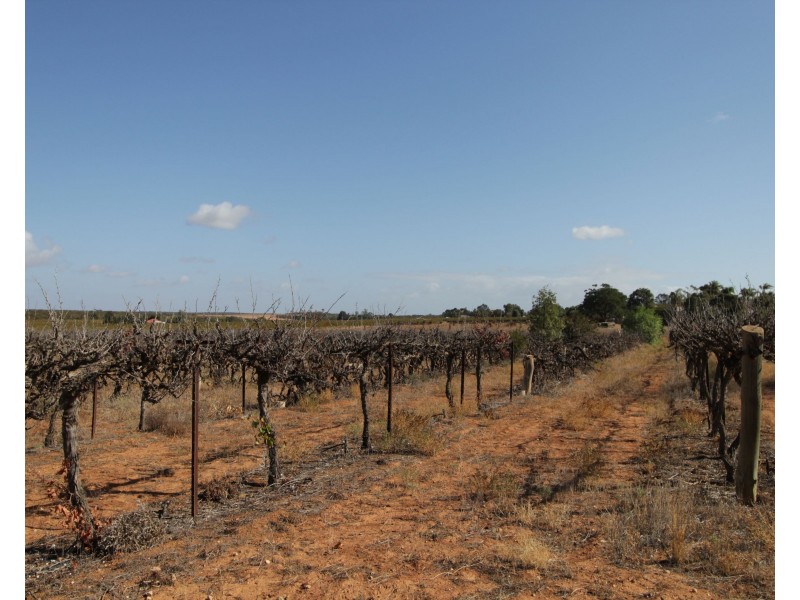 Lot 4 Garwood Lane, Winkie SA 5343