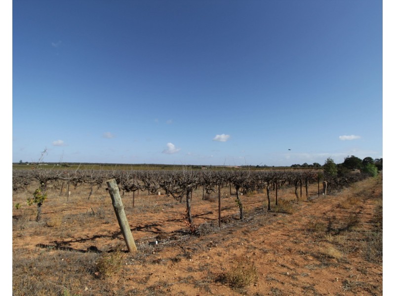 Lot 4 Garwood Lane, Winkie SA 5343