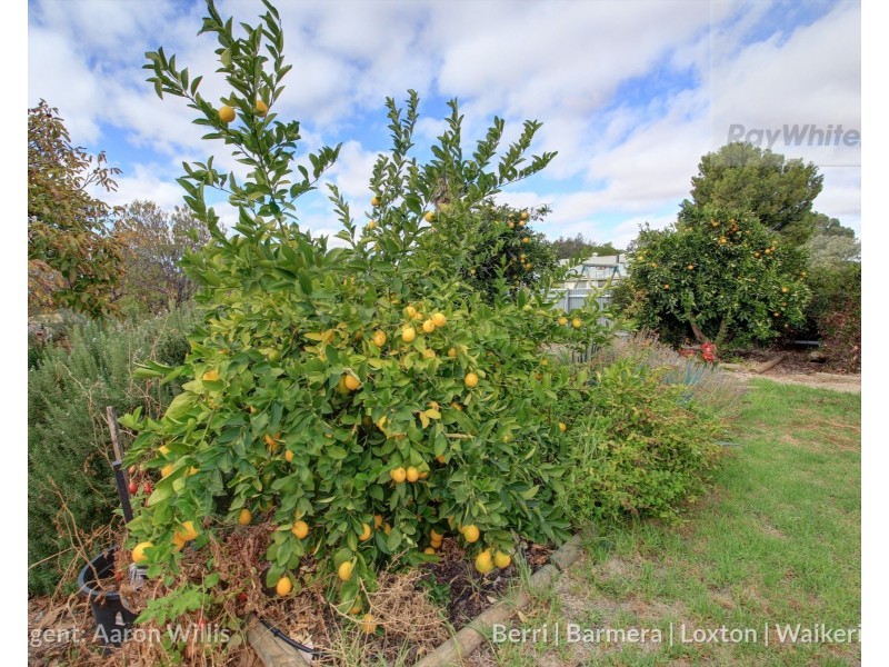 121 Paruna Road, Loxton SA 5333