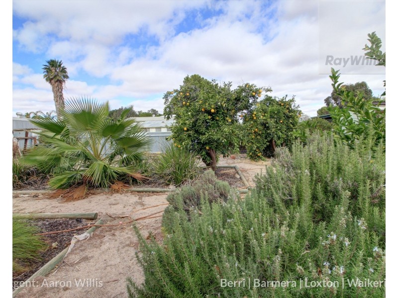 121 Paruna Road, Loxton SA 5333