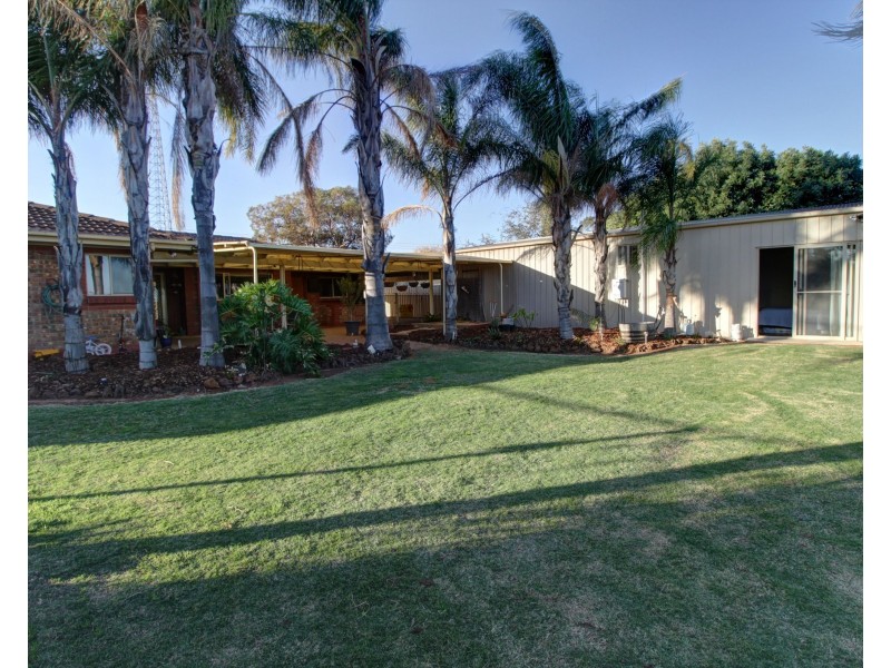 12 Alamein Avenue, Loxton SA 5333
